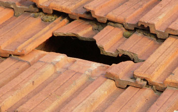 roof repair Leckford, Hampshire